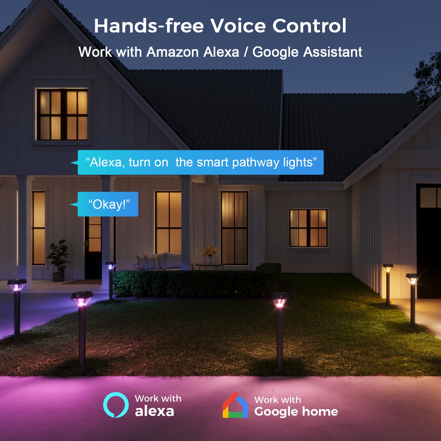 XMCOSY+ Smart Bridge Smart Solar Outdoor Lights with Motion Sensor