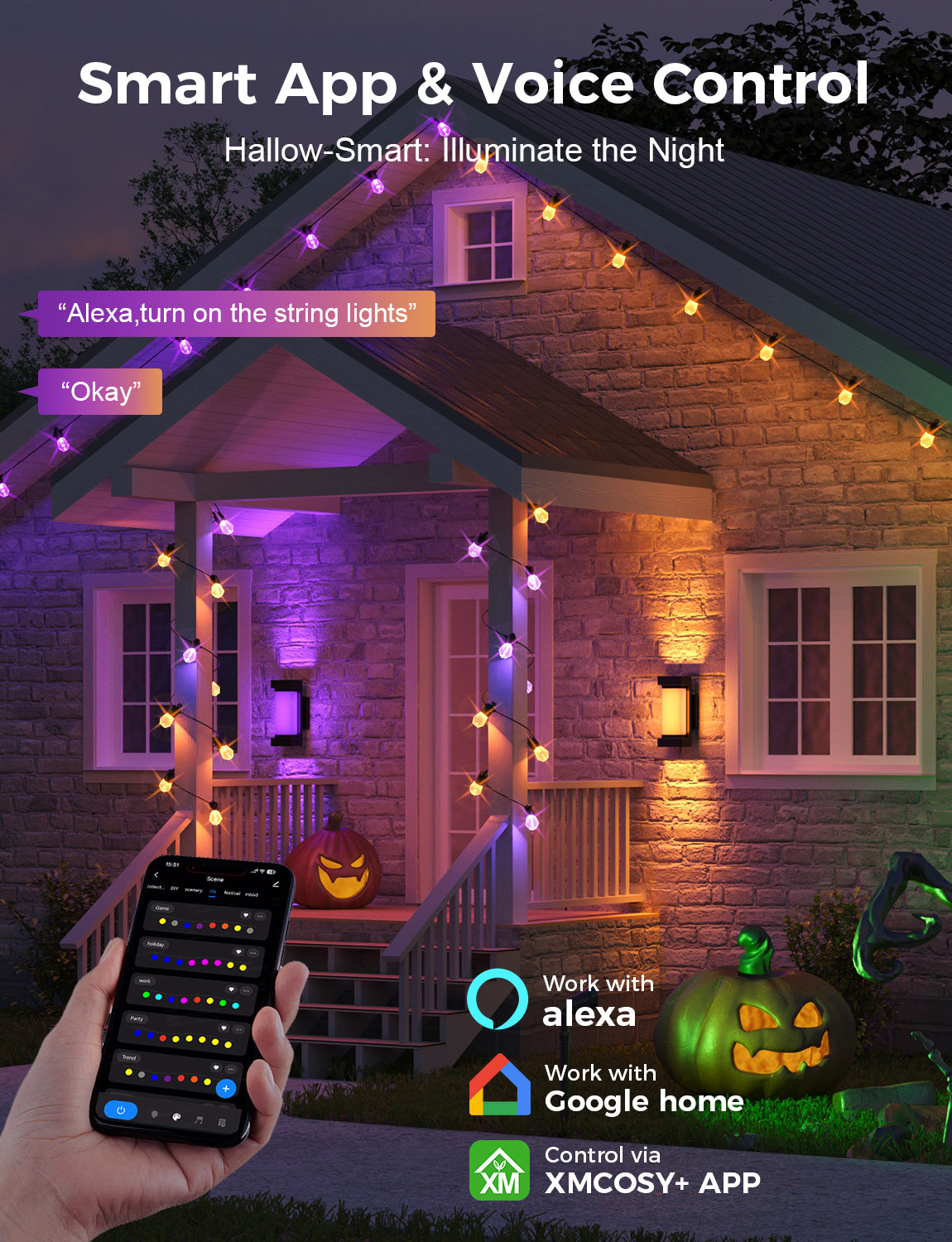 XMCOSY+ Dimmable Acrylic Bulbs Smart String Lights RGBCW Color Changing