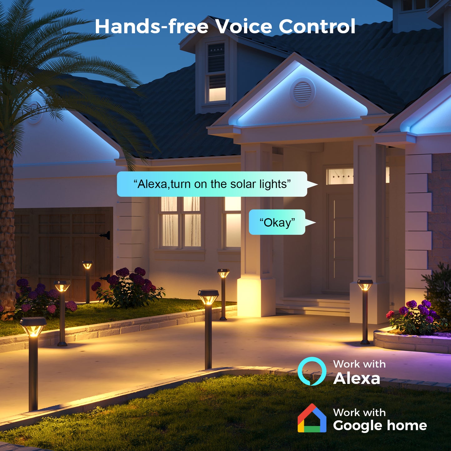 XMCOSY+ Smart Solar Motion Sensor Light - 6 pack (Included Smart Bridge)