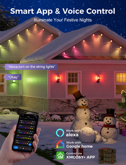 XMCOSY+ Dimmable Acrylic Bulbs Smart String Lights RGBCW Color Changing