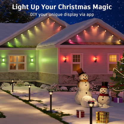 XMCOSY+ Acrylic Bulbs Smart String Lights RGBCWIC Color Changing