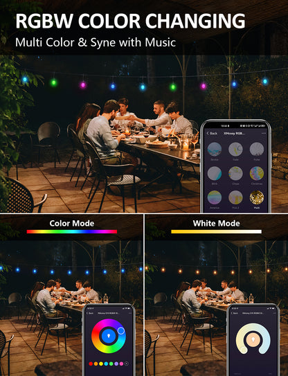 XMCOSY+ Acrylic Bulbs Smart String Lights RGBW Color Changing