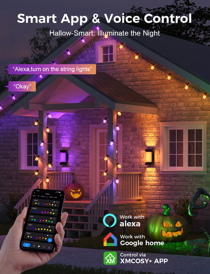 XMCOSY+ Dimmable Acrylic Bulbs Smart String Lights RGBCW Color Changing